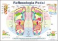 Reflexologia podal     PVP: 197.70€