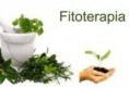 Taller de Fitoterapia  Pvp: 48.70€